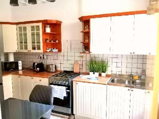 Free Garage Parking, Ac And Bikes In The Downtown Apartment บูดาเปสต์ ภายนอก รูปภาพ